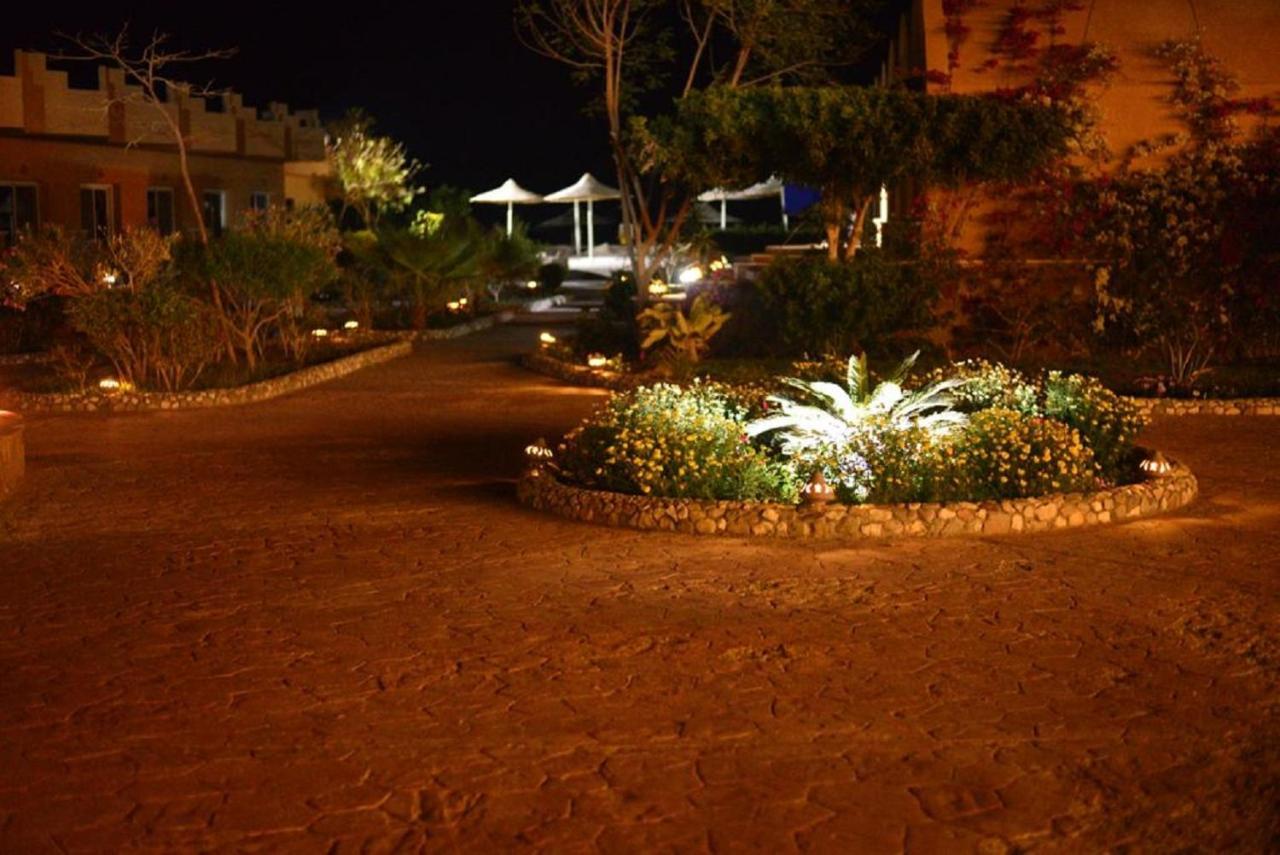Silver Beach Boutique Hotel (Adults Only) El Qoseir Exterior foto