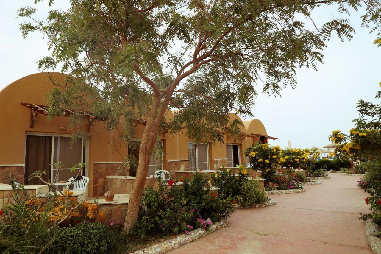 Silver Beach Boutique Hotel (Adults Only) El Qoseir Exterior foto
