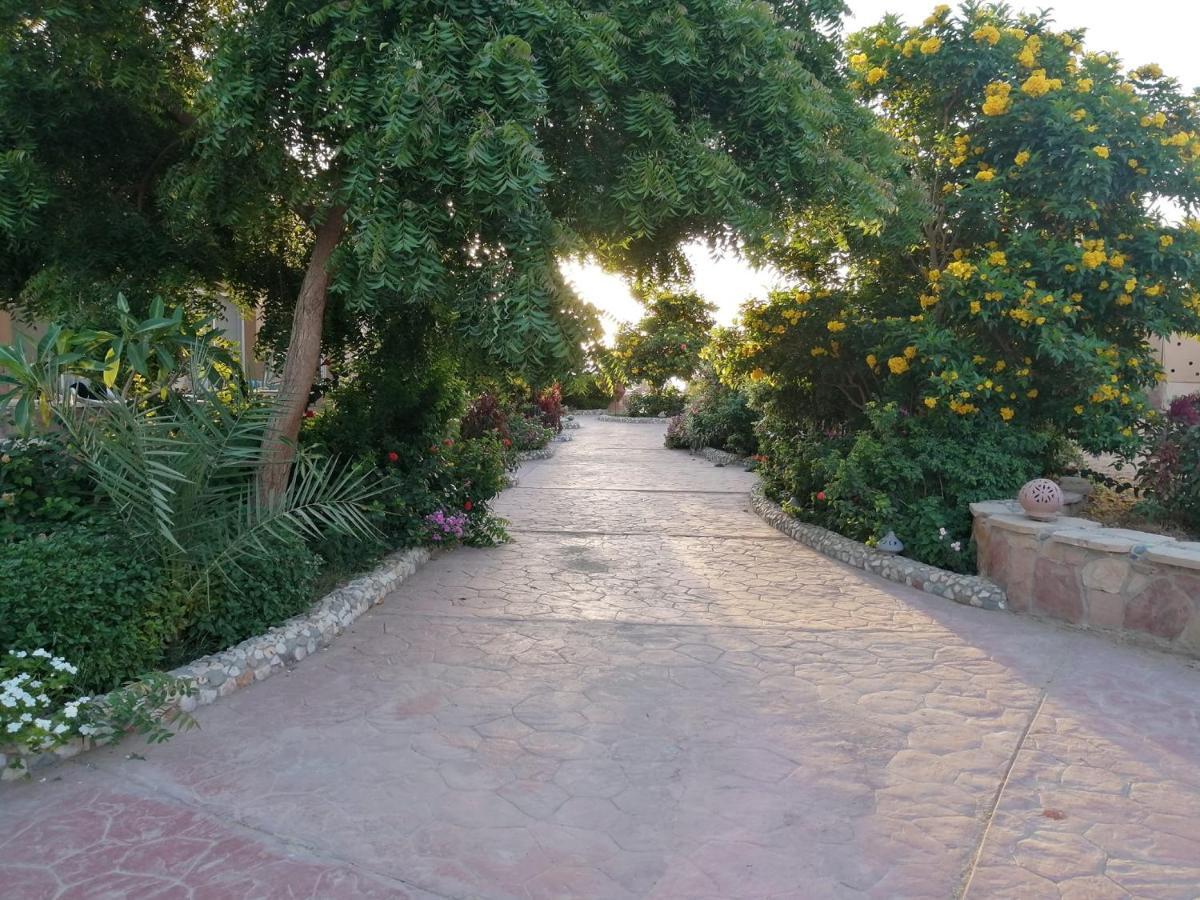 Silver Beach Boutique Hotel (Adults Only) El Qoseir Exterior foto