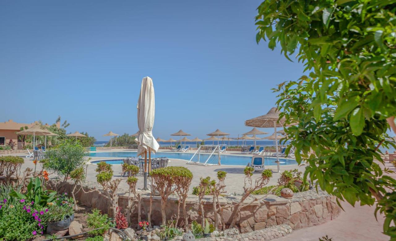 Silver Beach Boutique Hotel (Adults Only) El Qoseir Exterior foto
