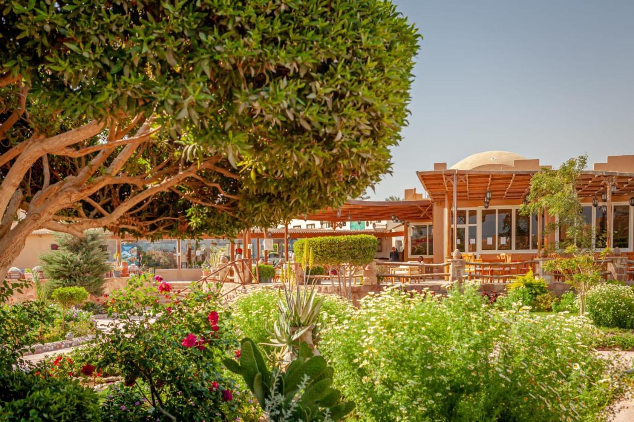 Silver Beach Boutique Hotel (Adults Only) El Qoseir Exterior foto