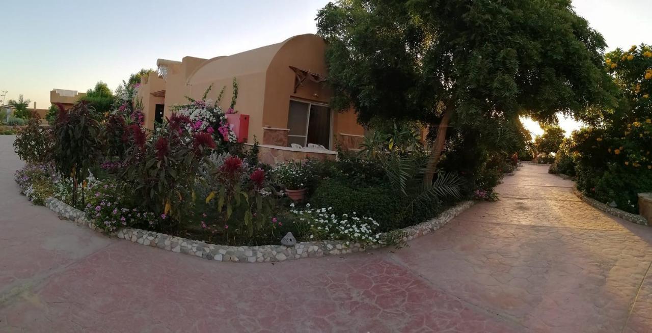 Silver Beach Boutique Hotel (Adults Only) El Qoseir Exterior foto