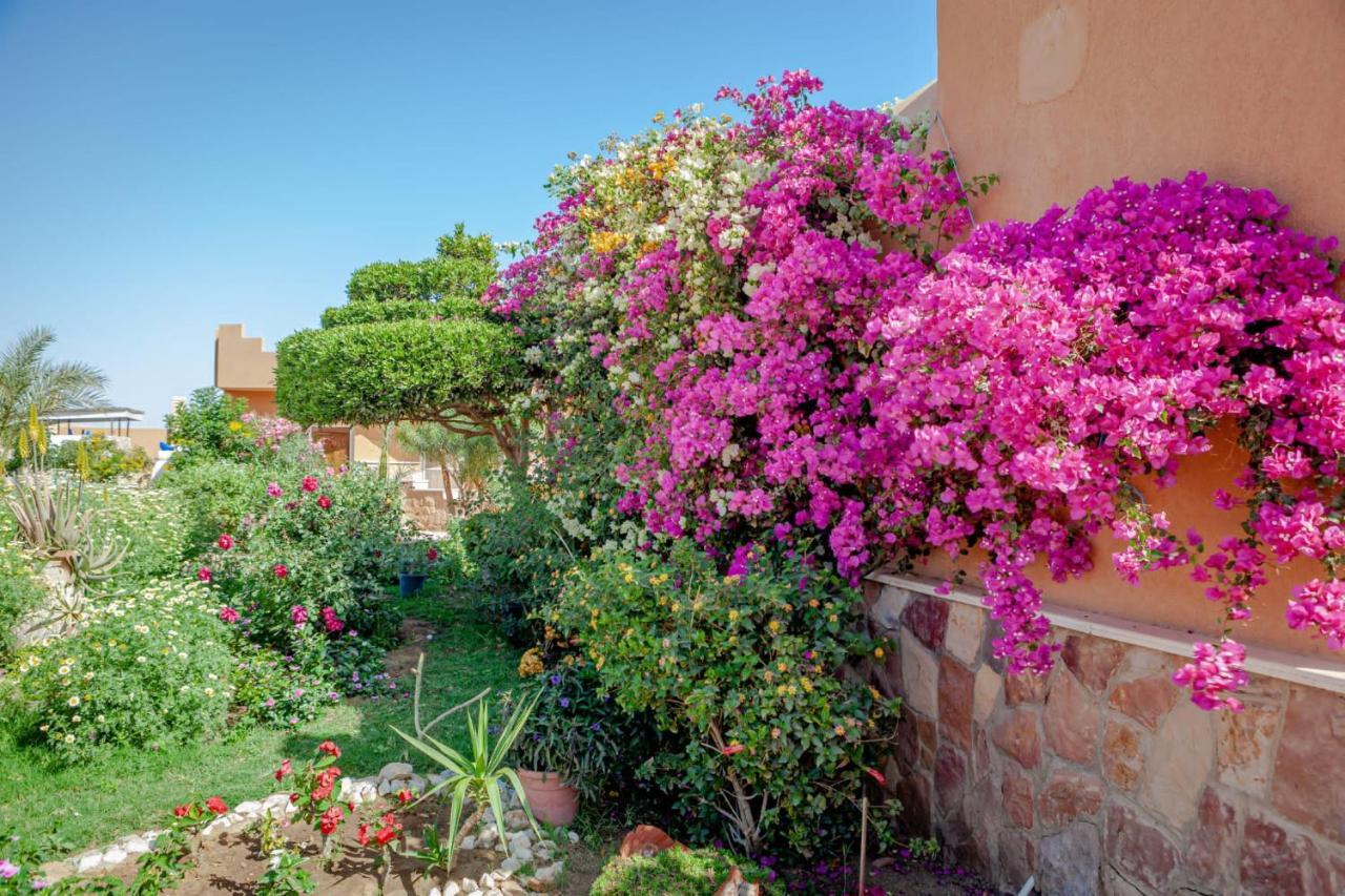 Silver Beach Boutique Hotel (Adults Only) El Qoseir Exterior foto